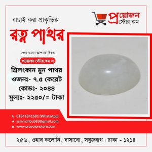 Moon Stone Singholi