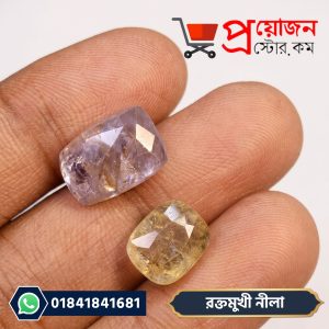 রক্তমুখী নীলা রত্নপাথরের দুটি নমুনা – Proyojon Store