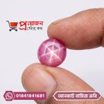 Macro view of a round polished natural Burma Star Ruby gemstone showing a sharp star light effect held between fingers by Proyojonstore