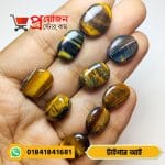 Assortment of rare blue and golden-yellow polished Tiger's Eye gemstones arranged along the fingers by Proyojonstore