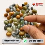 Close-up of a round grey natural Indian Cat's Eye gemstone with a distinct vertical ray held between fingers by Proyojonstore