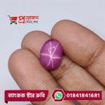 Macro view of a polished oval pinkish-purple Bangkok Star Ruby gemstone displaying clear centered asterism held in hand by Proyojonstore