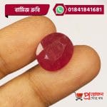 Macro view of a faceted oval rich red natural Burma Ruby gemstone held between fingers by Proyojonstore