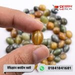 Macro view of an oval honey-golden natural Indian Cat's Eye gemstone held between fingertips by Proyojonstore
