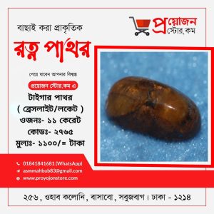 Tiger's Eye Jonmo Pathor