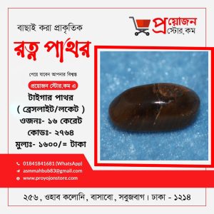 Tiger's Eye Pathor