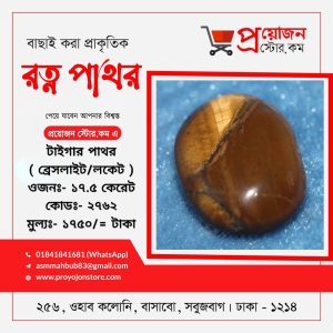 Tiger's Eye Rotno Pathor