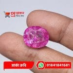 Close-up of a sparkling faceted oval pinkish-magenta natural Marka Ruby gemstone held between fingertips by Proyojonstore